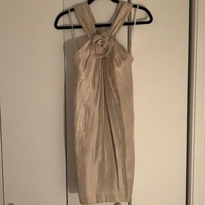 Champagne shimmery dress